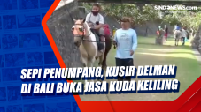 Sepi Penumpang, Kusir...
