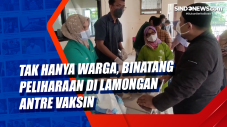 Tak Hanya Warga, Binatang...