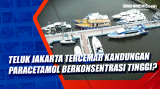 Teluk Jakarta Tercemar...