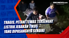 Tragis, Petani Tewas...