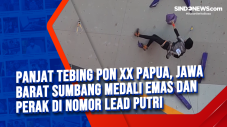 Panjat Tebing PON XX...