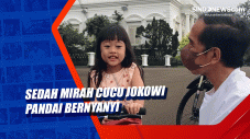 Sedah Mirah Cucu Jokowi...