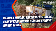 Menolak Mencari Pakan...