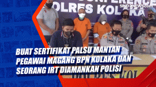 Buat Sertifikat Palsu...