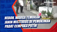 Heboh, Warga Temukan...