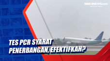 Tes PCR Syarat Penerbangan,...