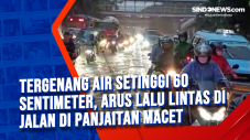 Tergenang Air Setinggi...
