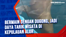 Bermain dengan Dugong,...