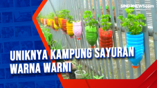 Uniknya Kampung Sayuran...