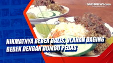 Nikmatnya Bebek Galis,...