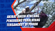 Akibat Angin Kencang,...