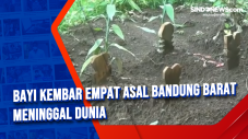 Bayi Kembar Empat Asal...