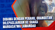 Dibawa dengan Perahu,...