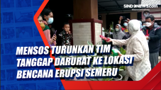 Mensos Turunkan Tim...