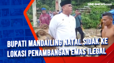 Bupati Mandailing Natal...