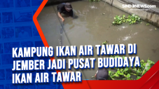 Kampung Ikan Air Tawar...