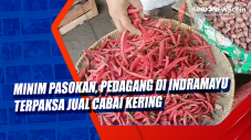 Minim Pasokan, Pedagang...