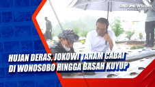 Hujan Deras, Jokowi...