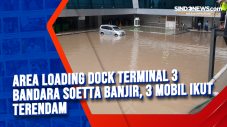 Area Loading Dock Terminal...