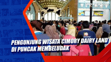 Pengunjung Wisata Cimory...