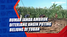 Rumah Janda Ambruk Diterjang...