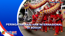 Hari HAM Internasional,...