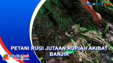 Lahan Pertanian Rusak...