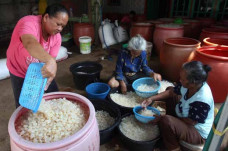 Pandemi Corona, Kolang-Kaling...