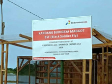 Kreatif, Kampung Ikan...