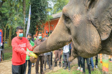 Medan Zoo Dibuka Lagi,...
