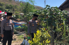 Belajar dari Sumbawa,...