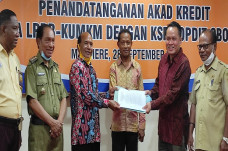 Ribuan Anggota KSP Kopdit...