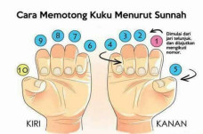 Cara Memotong Kuku Menurut...