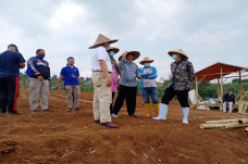 Progres Program Padat...