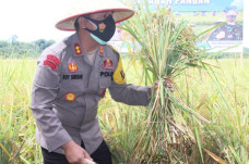 Peduli Ketahanan Pangan,...