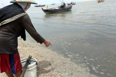 Rembang Mendadak Gempar,...