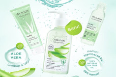Menghindari Penularan...