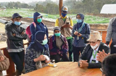 Kementan Dorong Penyuluh...