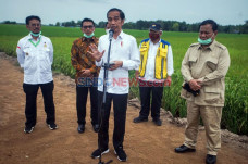 Jokowi Kesal Pangan...