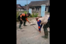 Teror Ular Kobra Resahkan...