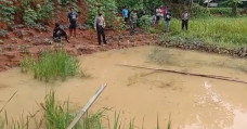 Asyik Berenang di Kolam...