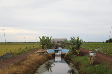 Petani: Tidak Betul...