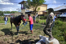 Mengenal Kearifan Masyarakat...
