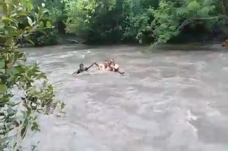 Demi Bisa Mencerdaskan...