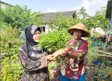 Desa BERSEMI Menyulap...