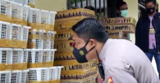 Ribuan Ekor Burung yang...