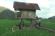 Desa Terpencil di OKU...