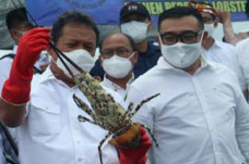 Janji Menteri Trenggono:...