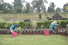 Program Candi Darling...