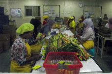 Berantas! Mafia Jamu...